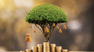 Saving Money Tree